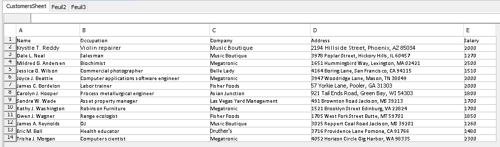 Excel Customer File 0